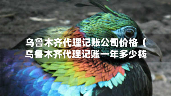 烏魯木齊代理記賬公司價格（烏魯木齊代理記賬一年多少錢）