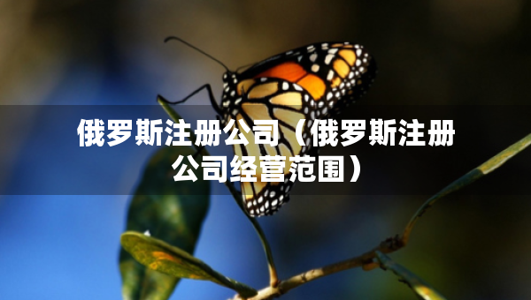 俄羅斯注冊公司（俄羅斯注冊公司經(jīng)營范圍）