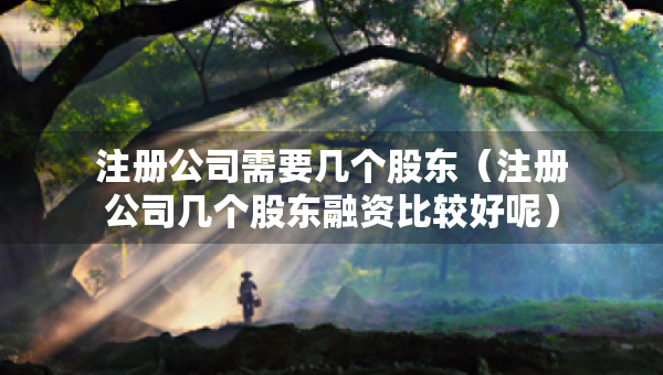 注冊公司需要幾個股東（注冊公司幾個股東融資比較好呢）
