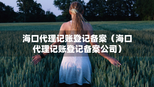 ?？诖碛涃~登記備案（海口代理記賬登記備案公司）