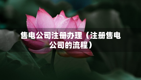 售電公司注冊辦理（注冊售電公司的流程）