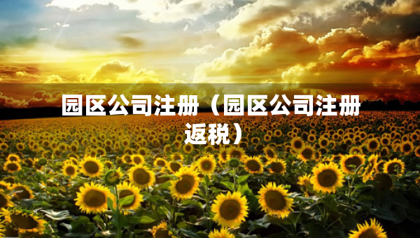 園區(qū)公司注冊（園區(qū)公司注冊 返稅）