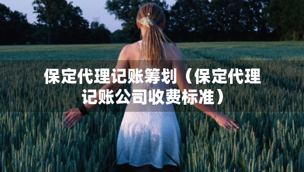 保定代理記賬籌劃（保定代理記賬公司收費(fèi)標(biāo)準(zhǔn)）