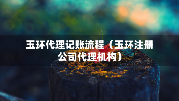 玉環(huán)代理記賬流程（玉環(huán)注冊(cè)公司代理機(jī)構(gòu)）