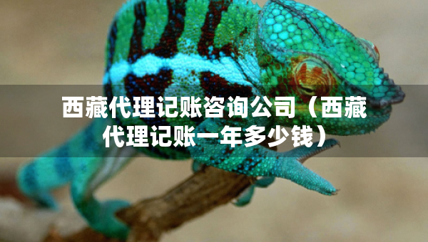 西藏代理記賬咨詢公司（西藏代理記賬一年多少錢）