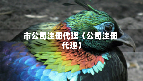 市公司注冊代理（公司注冊 代理）