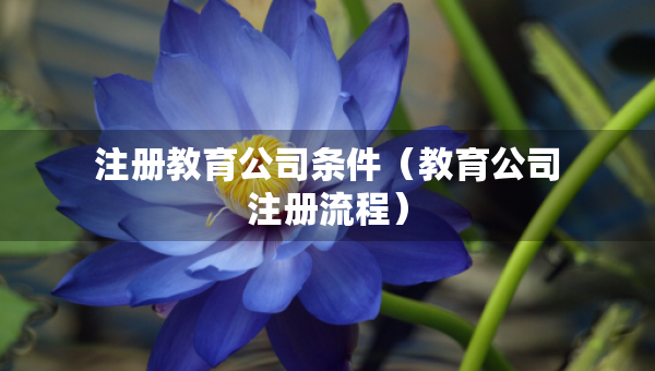 注冊教育公司條件（教育公司注冊流程）