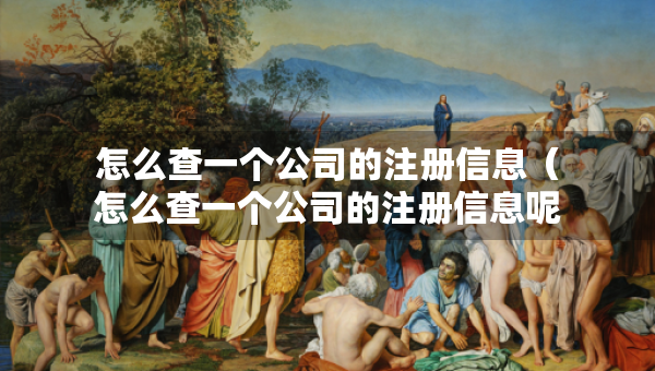 怎么查一個公司的注冊信息（怎么查一個公司的注冊信息呢）