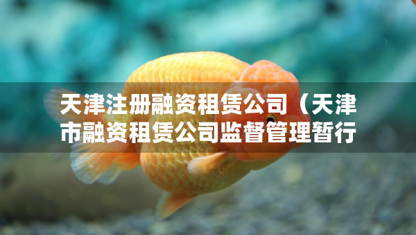 天津注冊融資租賃公司（天津市融資租賃公司監(jiān)督管理暫行辦法）