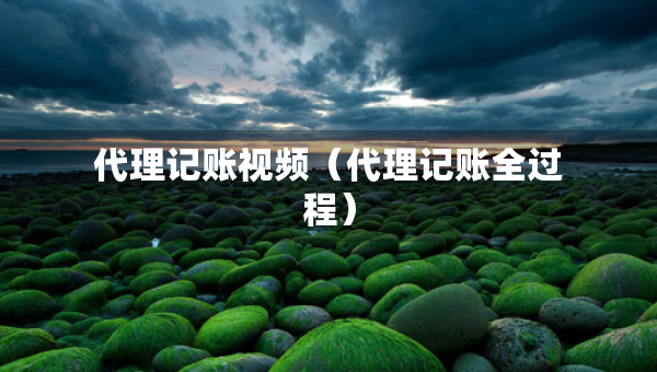 代理記賬視頻（代理記賬全過程）
