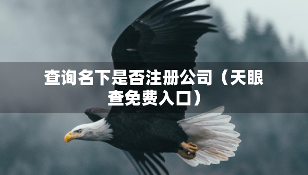 查詢名下是否注冊公司（天眼查免費入口）