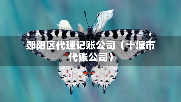 鄖陽區(qū)代理記賬公司（十堰市代賬公司）