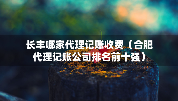 長豐哪家代理記賬收費（合肥代理記賬公司排名前十強）