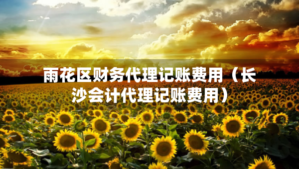 雨花區(qū)財(cái)務(wù)代理記賬費(fèi)用（長(zhǎng)沙會(huì)計(jì)代理記賬費(fèi)用）