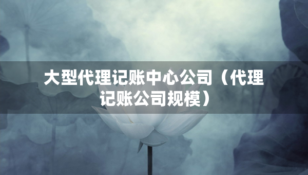 大型代理記賬中心公司（代理記賬公司規(guī)模）
