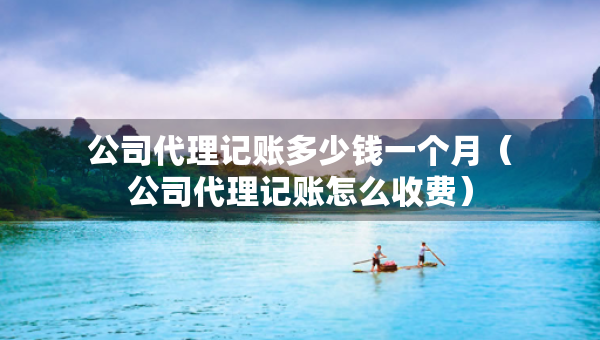公司代理記賬多少錢一個(gè)月（公司代理記賬怎么收費(fèi)）