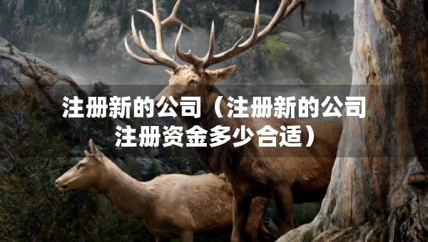 注冊(cè)新的公司（注冊(cè)新的公司注冊(cè)資金多少合適）