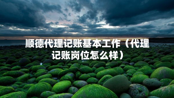 順德代理記賬基本工作（代理記賬崗位怎么樣）
