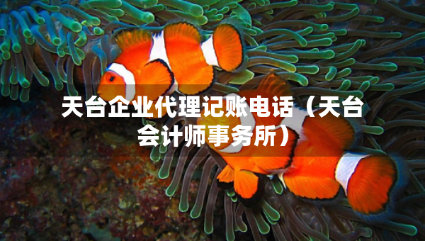 天臺企業(yè)代理記賬電話（天臺會計(jì)師事務(wù)所）