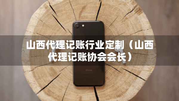 山西代理記賬行業(yè)定制（山西代理記賬協(xié)會會長）
