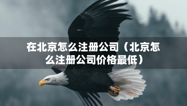 在北京怎么注冊公司（北京怎么注冊公司價格最低）