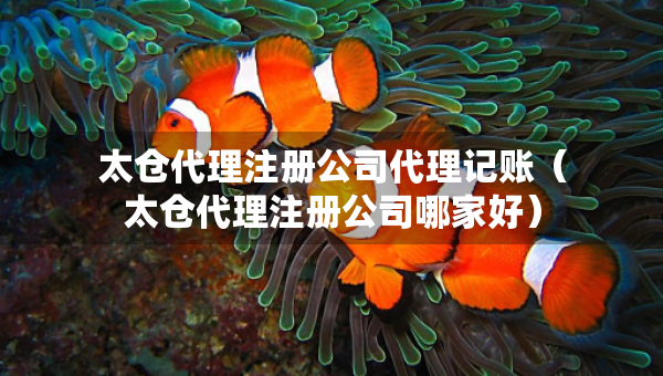 太倉代理注冊公司代理記賬（太倉代理注冊公司哪家好）