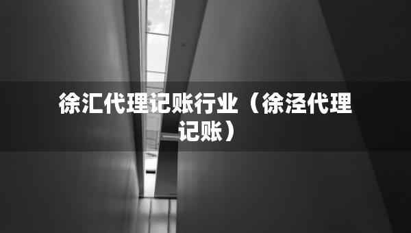 徐匯代理記賬行業(yè)（徐涇代理記賬）