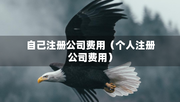 自己注冊公司費用（個人注冊公司費用）