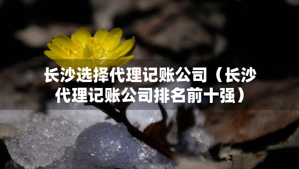 長沙選擇代理記賬公司（長沙代理記賬公司排名前十強(qiáng)）