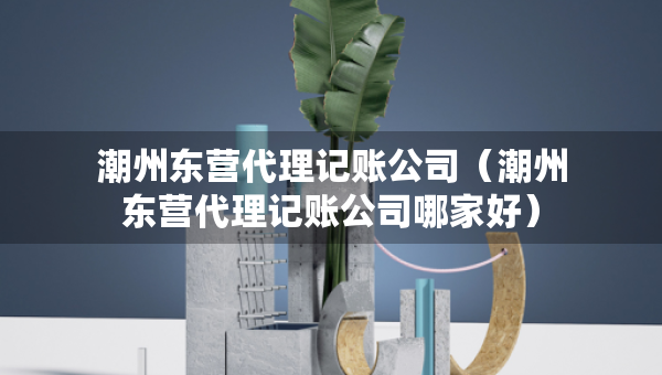 潮州東營(yíng)代理記賬公司（潮州東營(yíng)代理記賬公司哪家好）