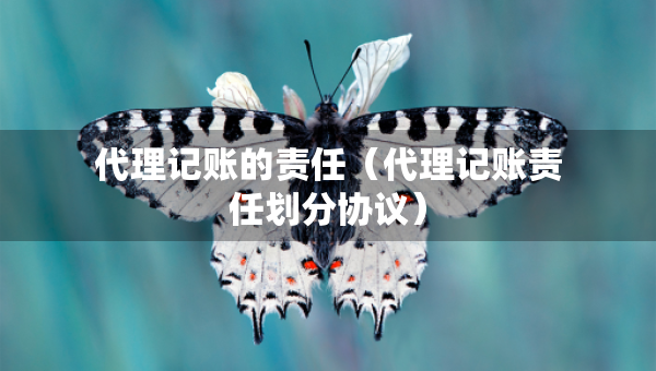 代理記賬的責(zé)任（代理記賬責(zé)任劃分協(xié)議）