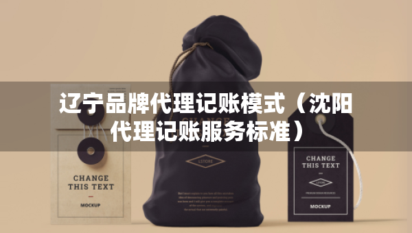 遼寧品牌代理記賬模式（沈陽代理記賬服務(wù)標(biāo)準(zhǔn)）