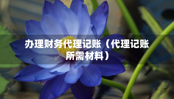 辦理財(cái)務(wù)代理記賬（代理記賬所需材料）