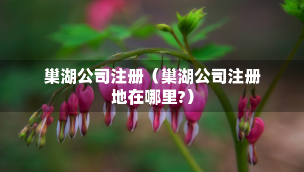 巢湖公司注冊（巢湖公司注冊地在哪里?）