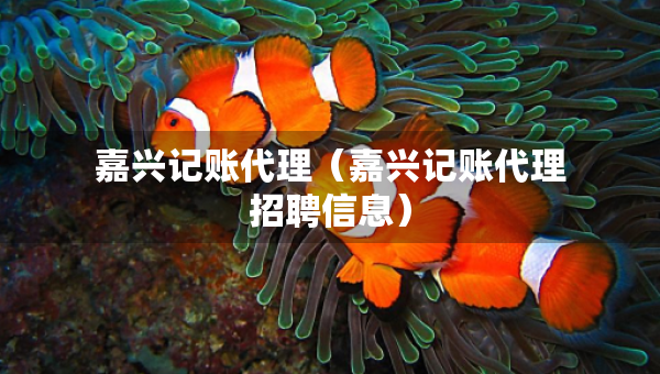 嘉興記賬代理（嘉興記賬代理招聘信息）