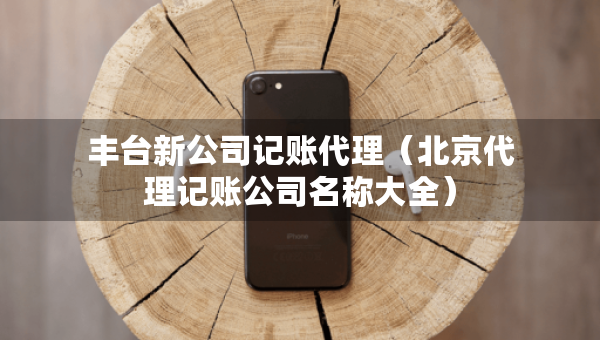 豐臺新公司記賬代理（北京代理記賬公司名稱大全）