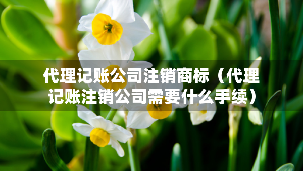代理記賬公司注銷商標(biāo)（代理記賬注銷公司需要什么手續(xù)）