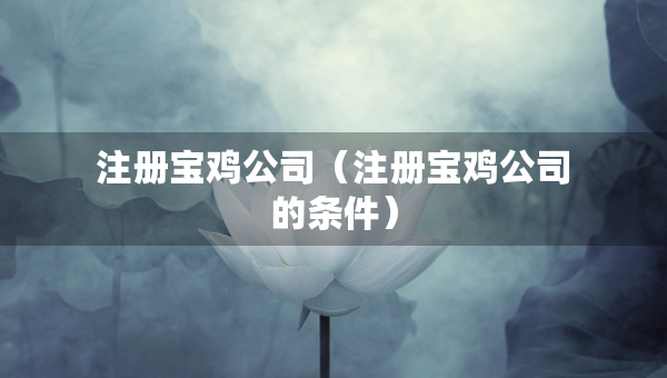 注冊(cè)寶雞公司（注冊(cè)寶雞公司的條件）