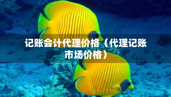 記賬會計代理價格（代理記賬市場價格）