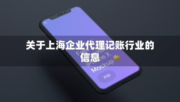 關(guān)于上海企業(yè)代理記賬行業(yè)的信息