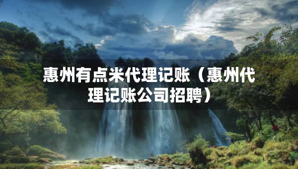 惠州有點米代理記賬（惠州代理記賬公司招聘）