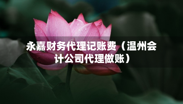 永嘉財(cái)務(wù)代理記賬費(fèi)（溫州會(huì)計(jì)公司代理做賬）