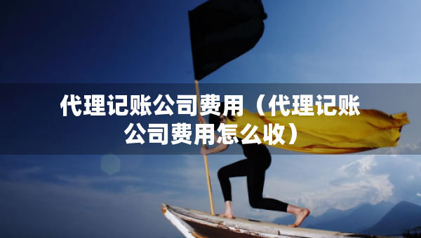 代理記賬公司費用（代理記賬公司費用怎么收）