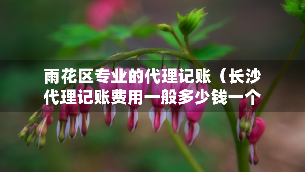 雨花區(qū)專業(yè)的代理記賬（長沙代理記賬費用一般多少錢一個月）
