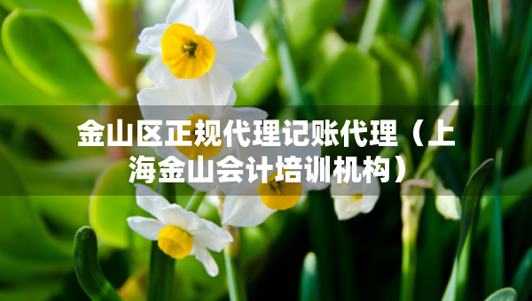 金山區(qū)正規(guī)代理記賬代理（上海金山會計培訓(xùn)機構(gòu)）