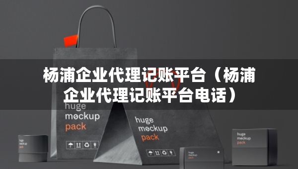 楊浦企業(yè)代理記賬平臺（楊浦企業(yè)代理記賬平臺電話）