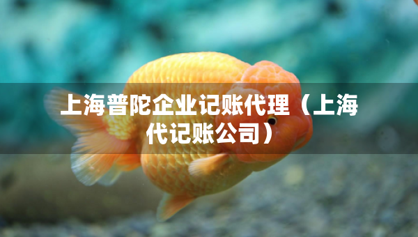 上海普陀企業(yè)記賬代理（上海代記賬公司）