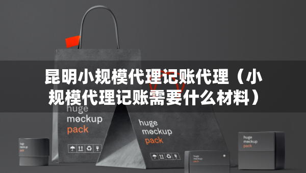 昆明小規(guī)模代理記賬代理（小規(guī)模代理記賬需要什么材料）