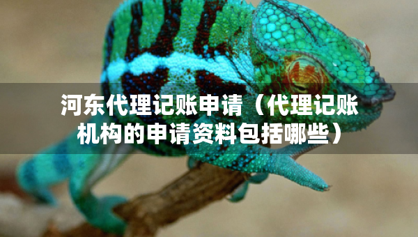 河?xùn)|代理記賬申請（代理記賬機構(gòu)的申請資料包括哪些）
