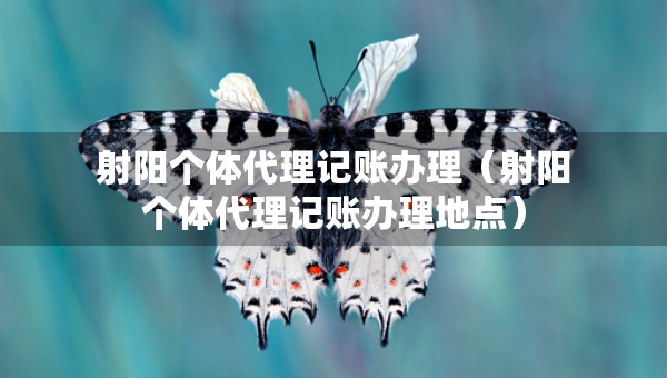 射陽個體代理記賬辦理（射陽個體代理記賬辦理地點）